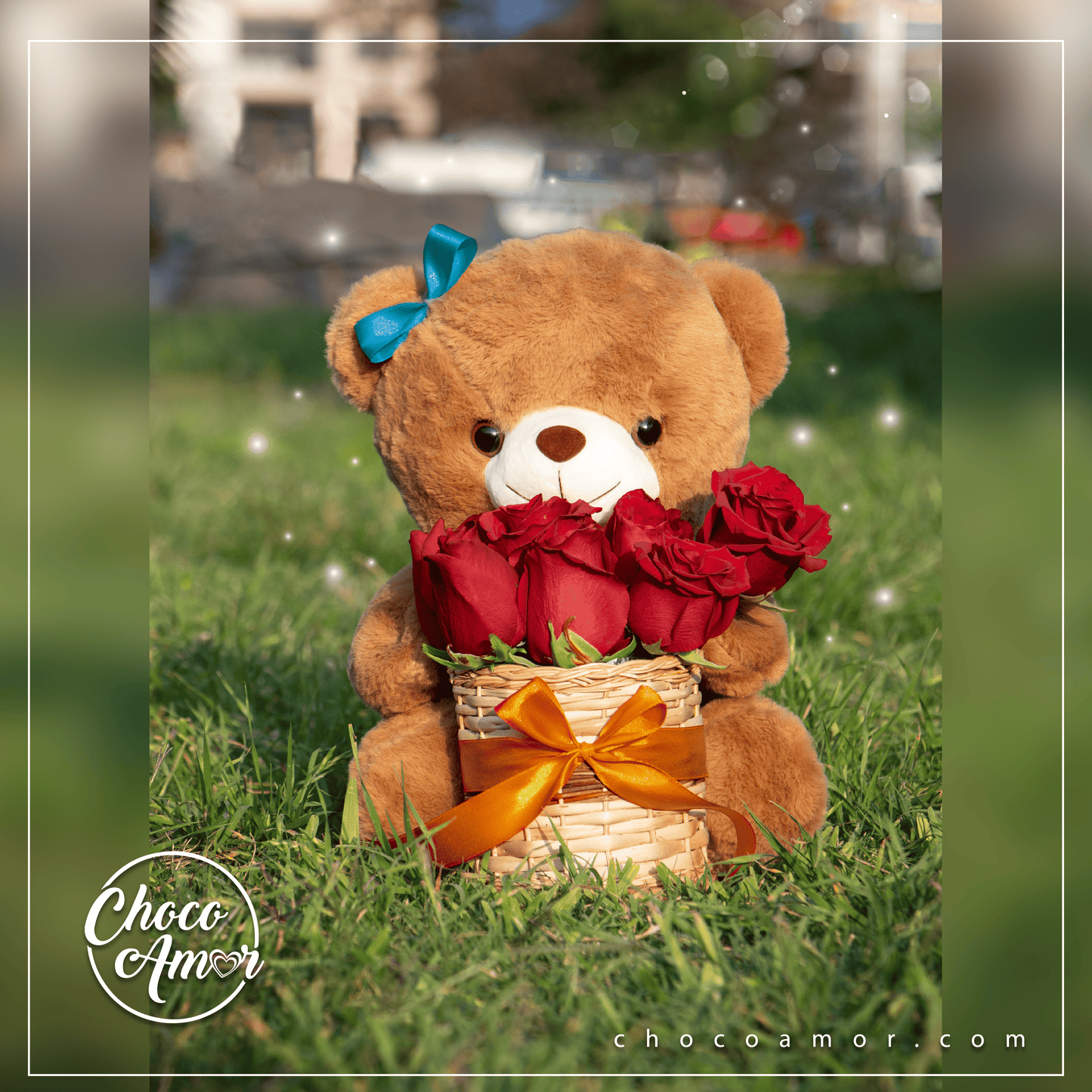 Canasta Bear Red