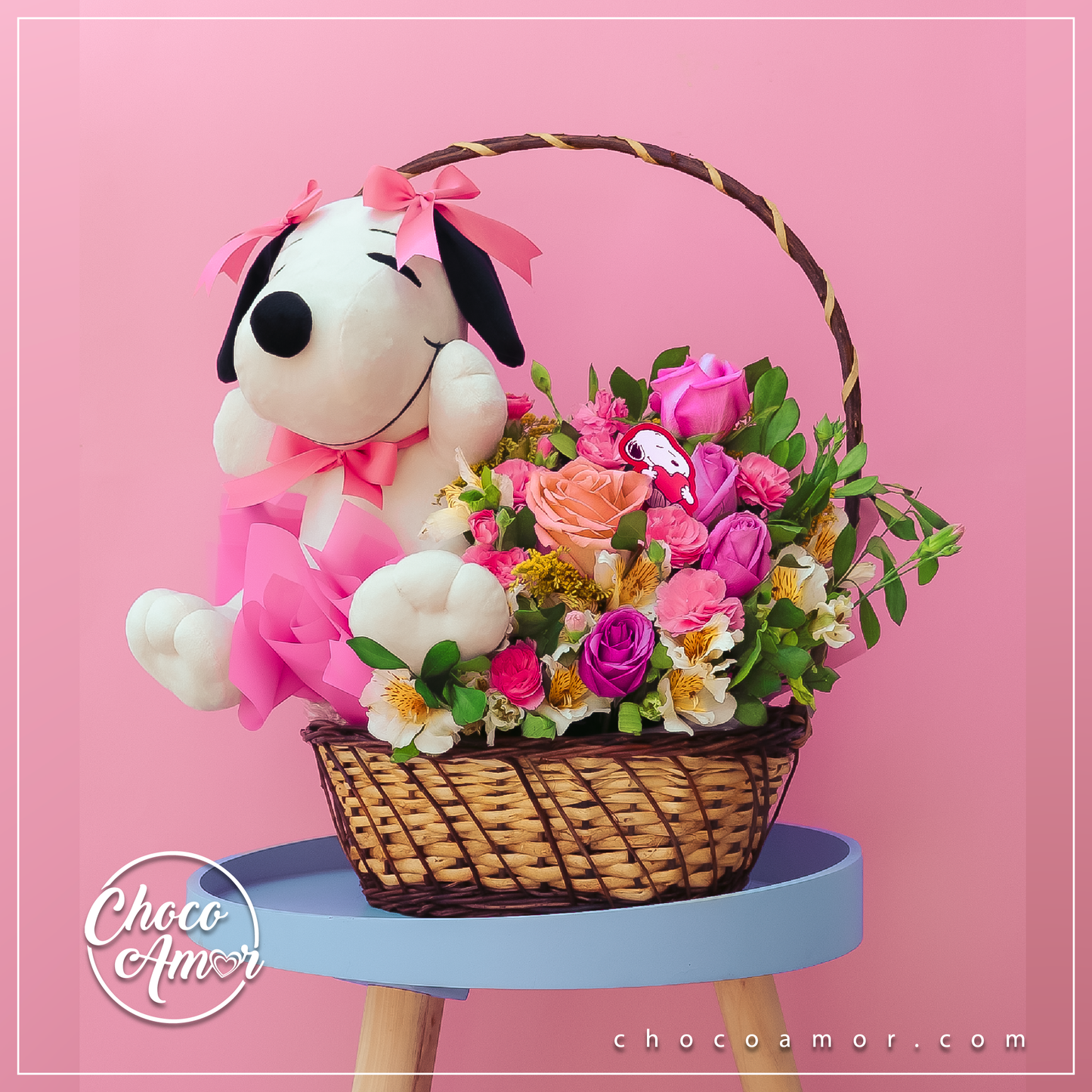 Canasta Rayito Bonito