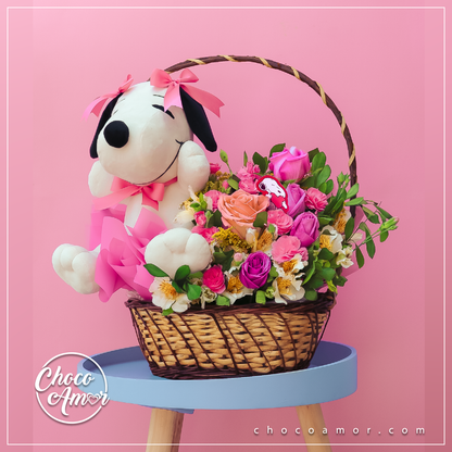 Canasta Rayito Bonito