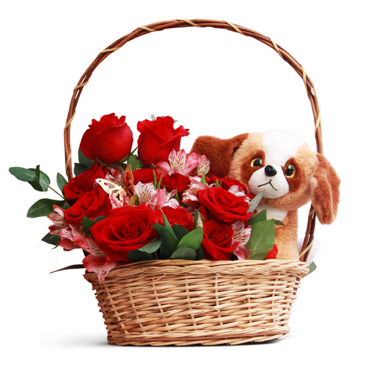 Canasta Mom Dog